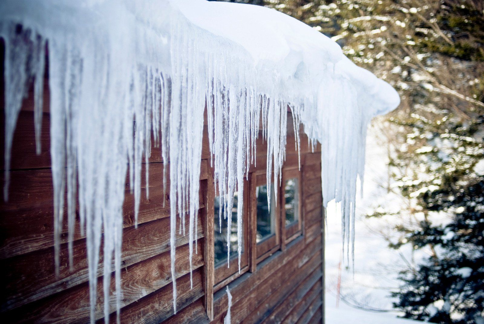 Icicles hanging from a snow-covered cabin roof beside a winter forest