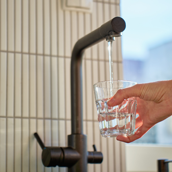 whole house water filter system