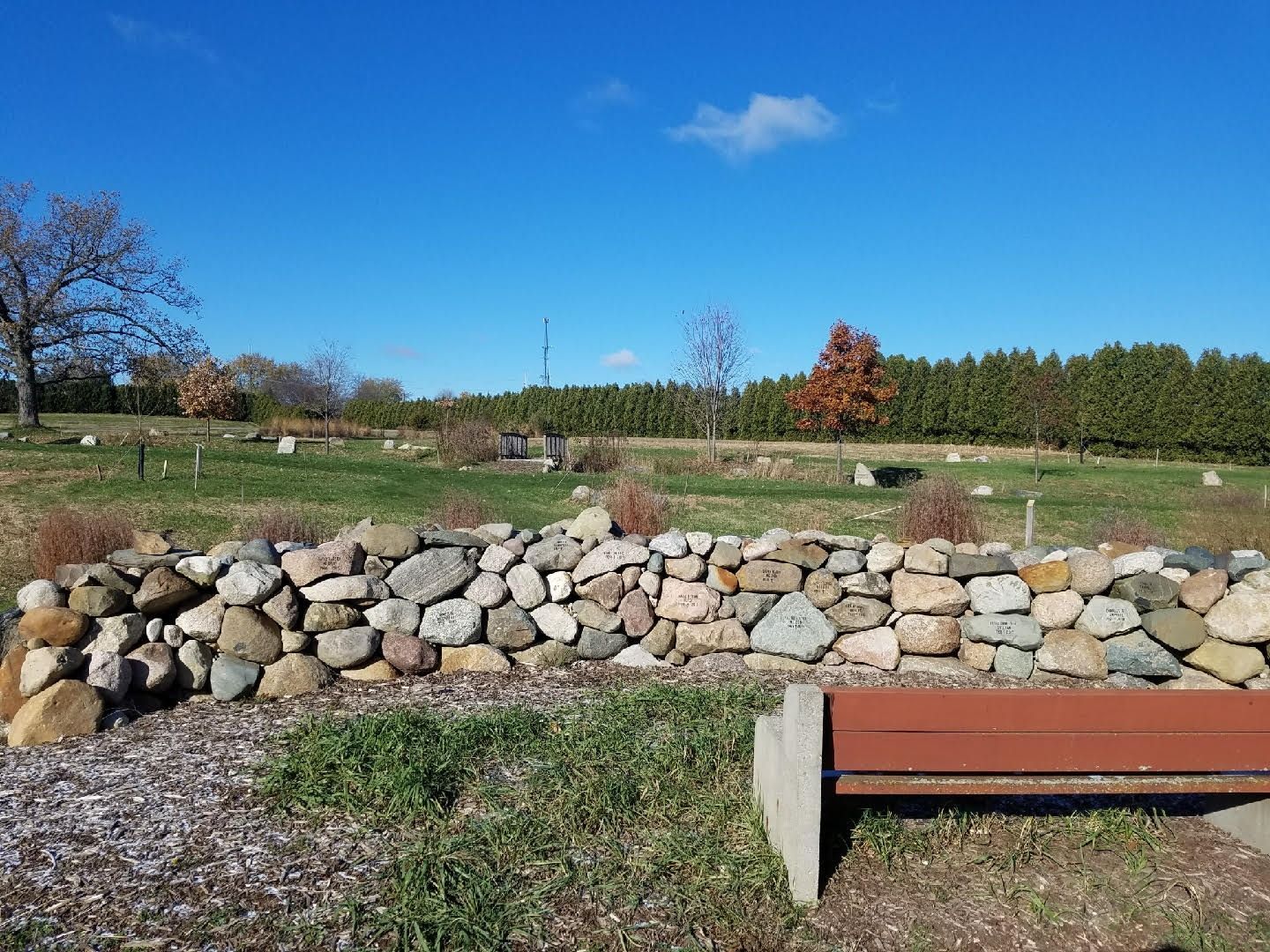 Rock-lined garden wall with shrubs under a clear blue sky, with a red bench in the foreground
