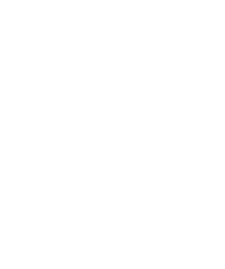 LOGO FAGIOLINI
