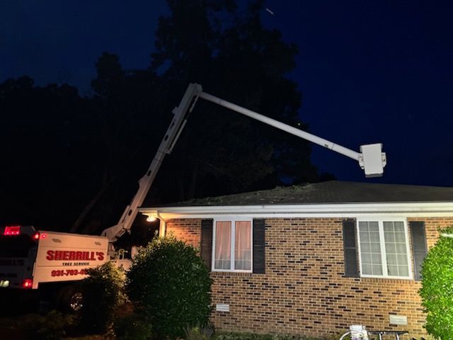 Arborist in orange helmet climbing a tree trunk while cutting a large branch outdoors
