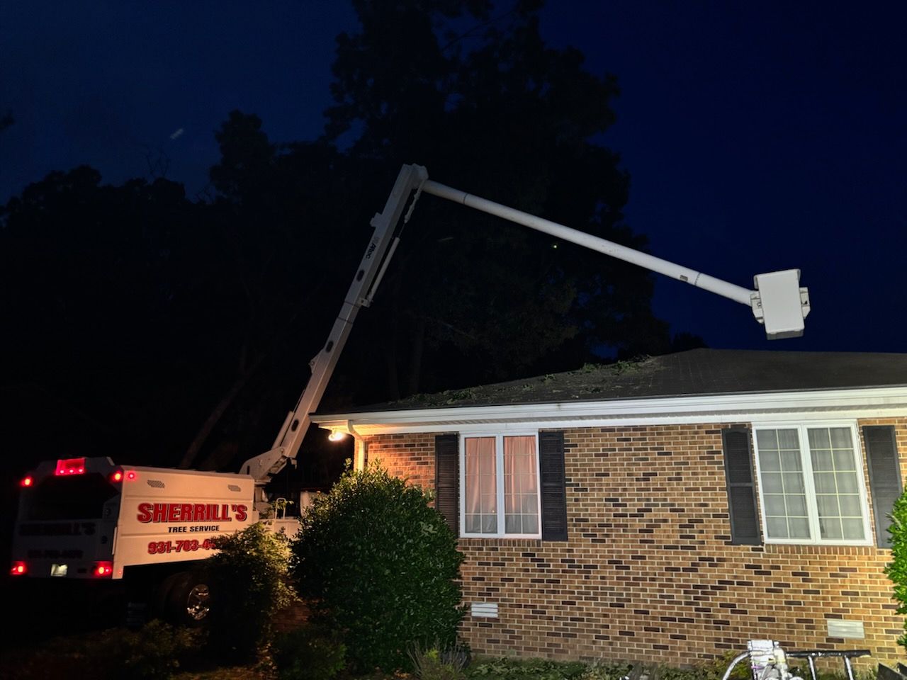 Workers trimming branches beside a building, with ladders and piles of cut greenery on the ground.