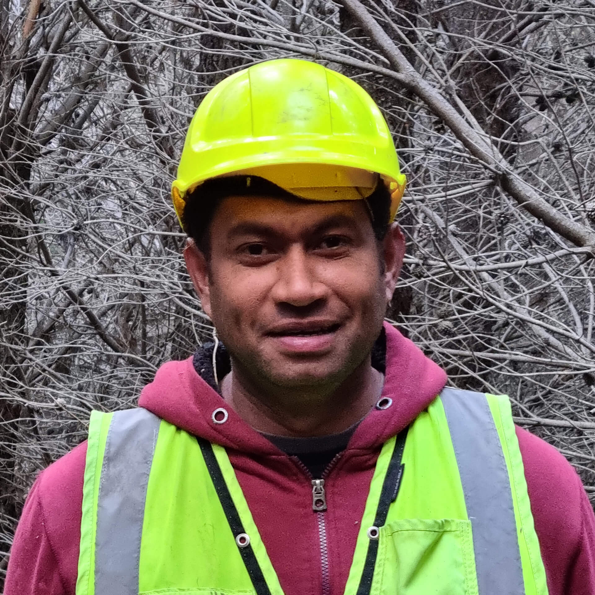 Ili Naitini Profile Buck Forestry Services