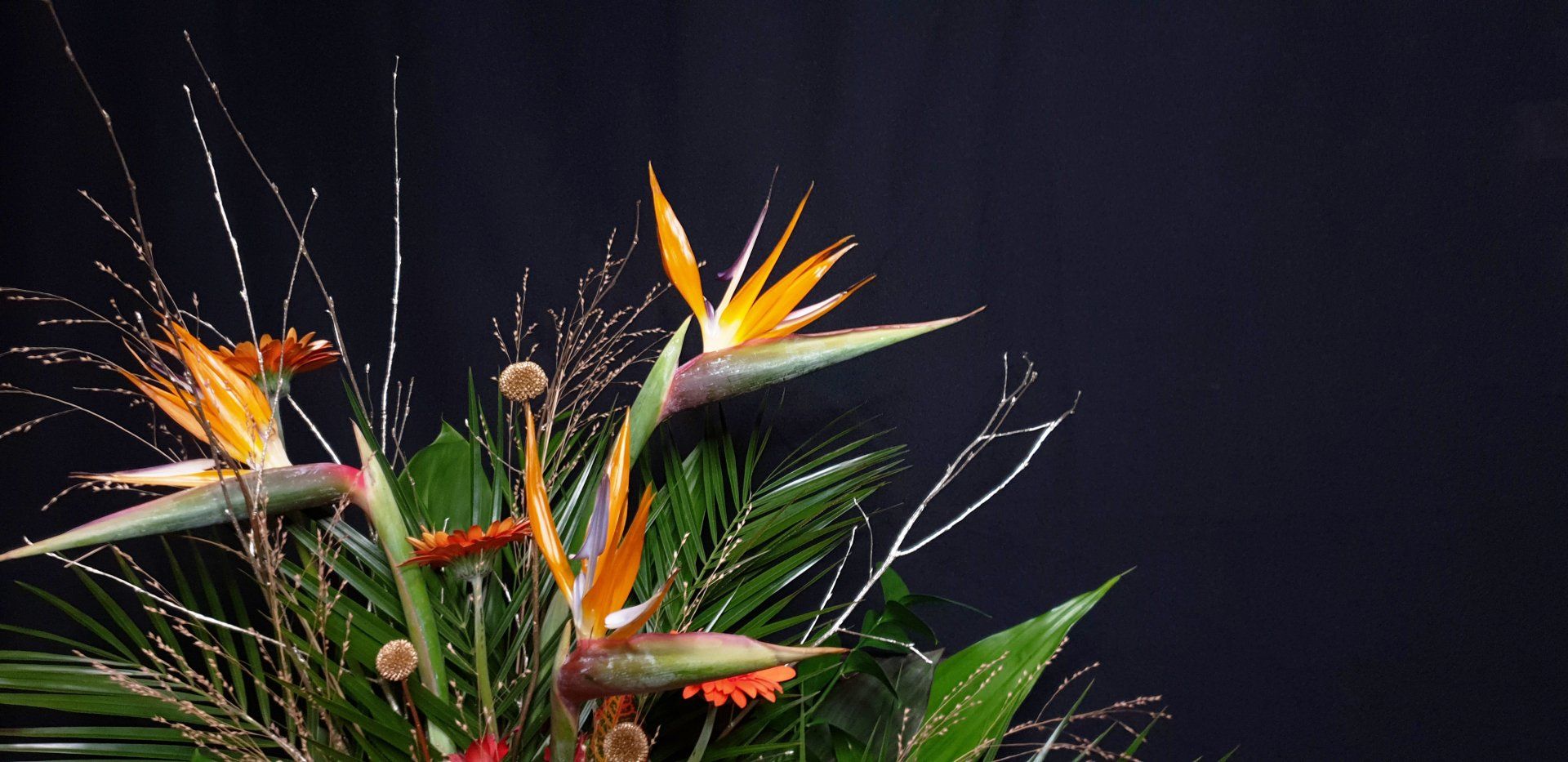 Tropical flowers