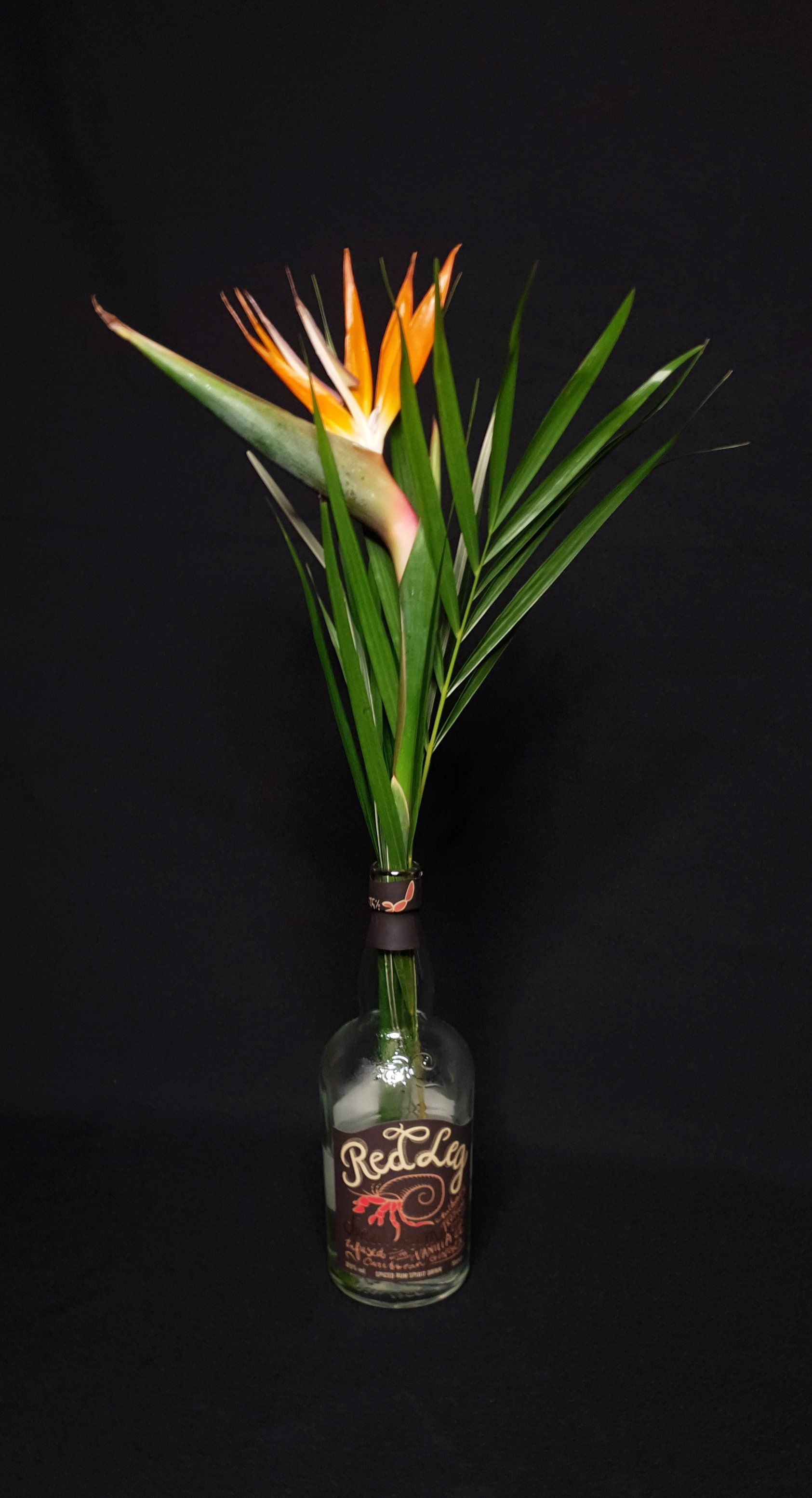 birds of paradise centrepiece florals