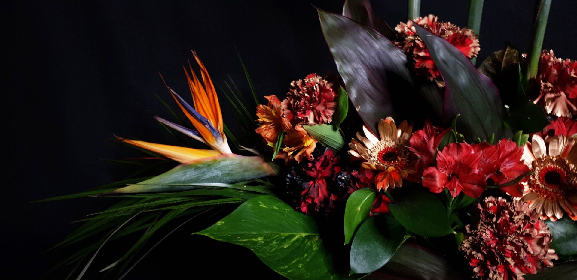 Tropical flowers