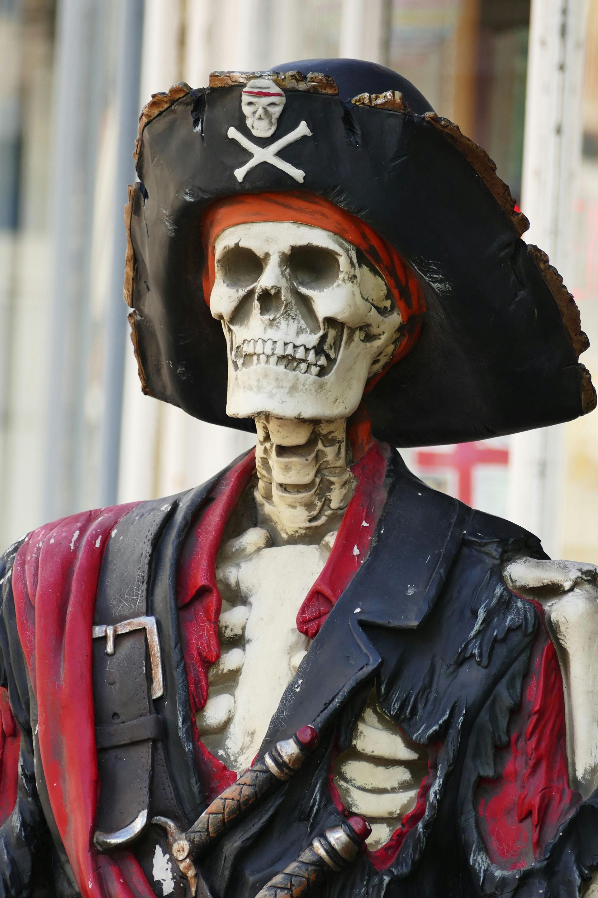 a skelaton with a pirate costume