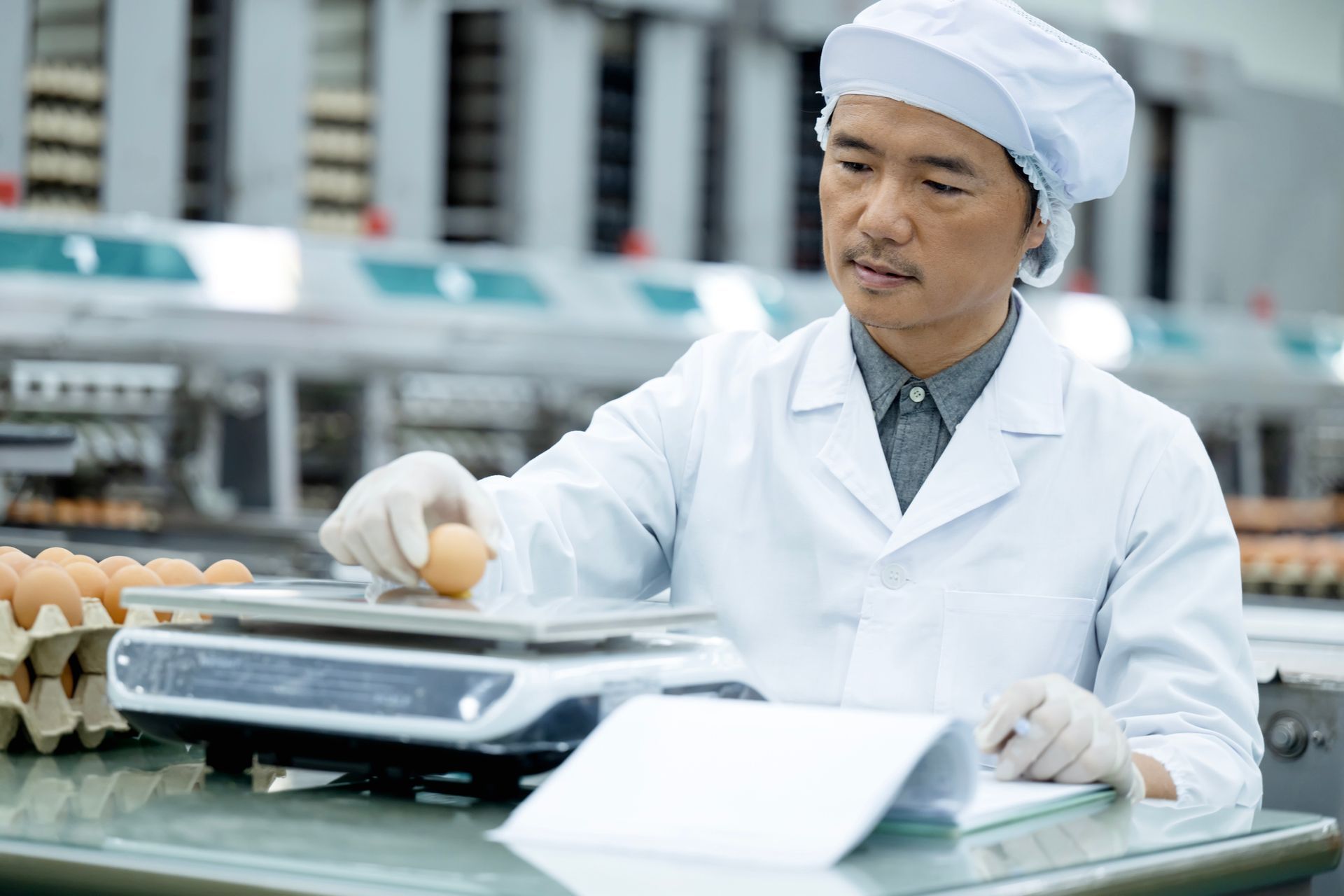 Food safety and quality technicians examine eggs' quality.