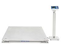 Floor Scales