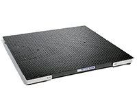 Dry/Mild Steel Floor Scales
