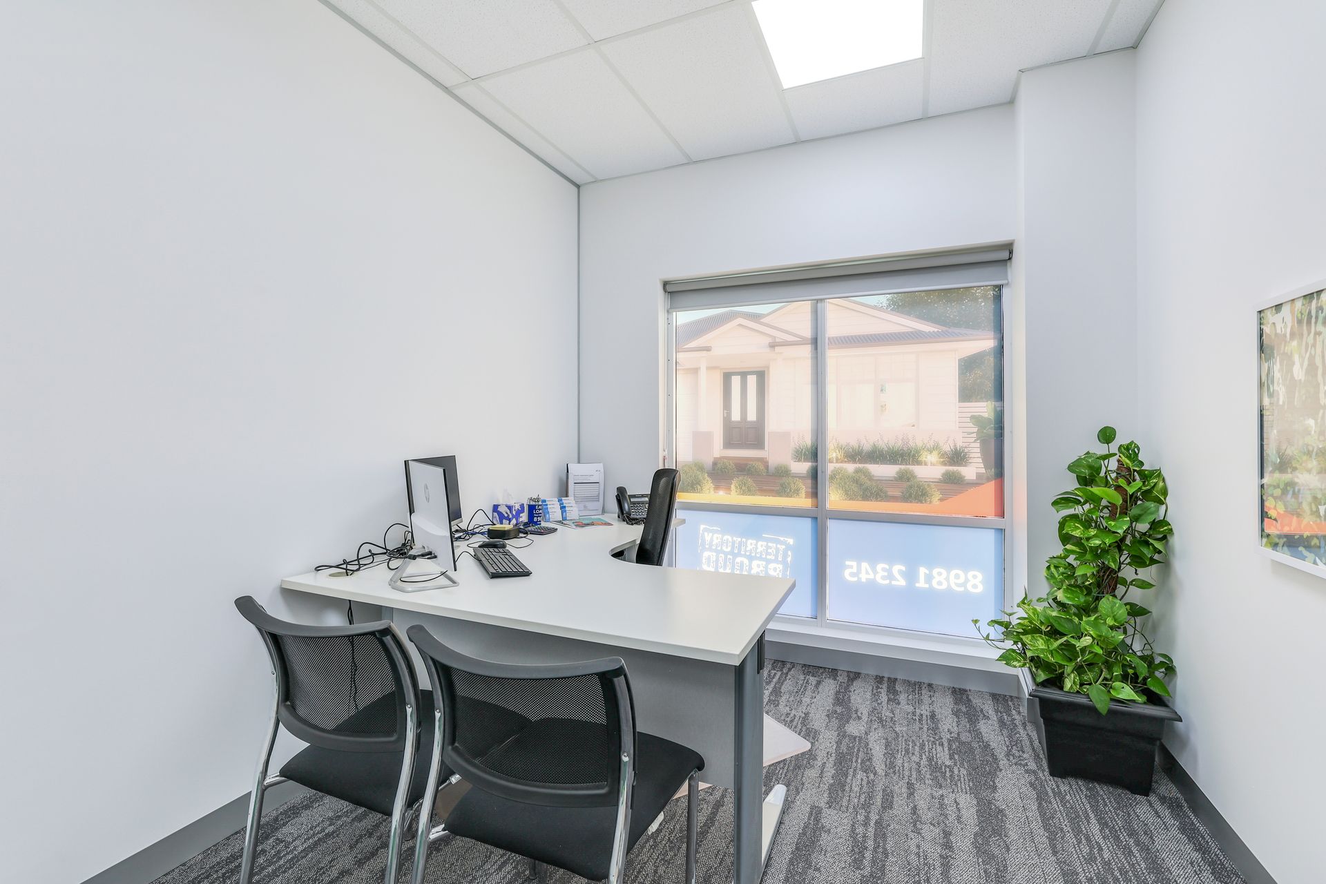 An office with a desk, chairs, window, and a potted plant.