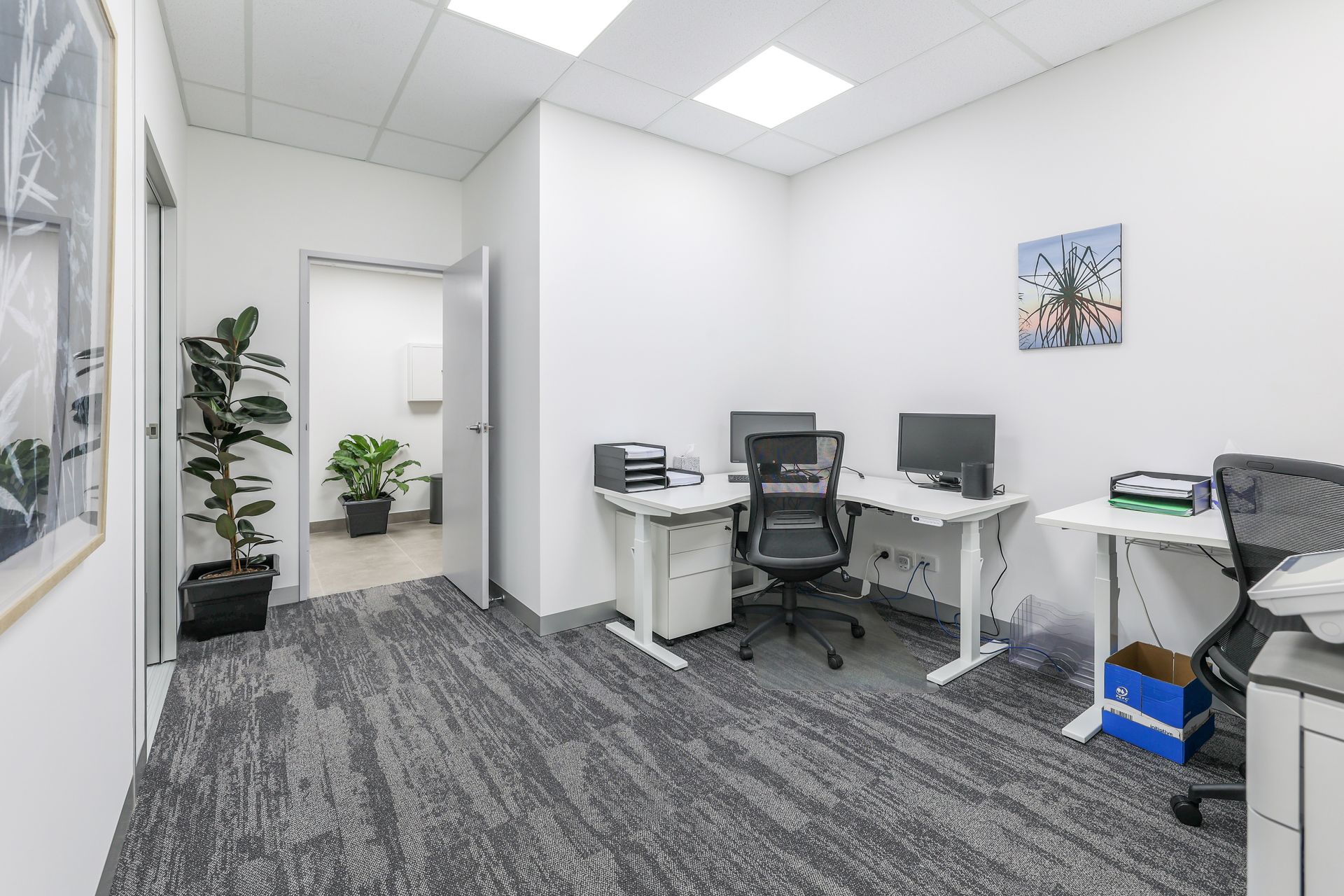 Office with two desks, computers, gray carpet, white walls, plants, and an open doorway.