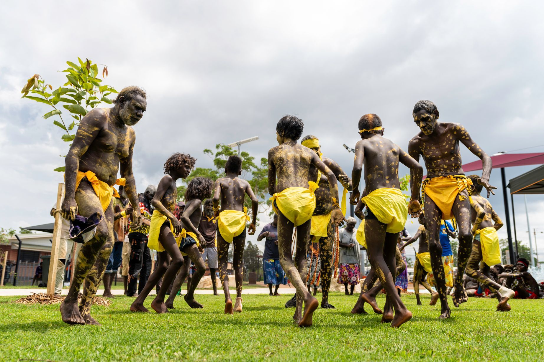 Aboriginal dancers in yellow loincloths and body paint perform on grass outdoors.