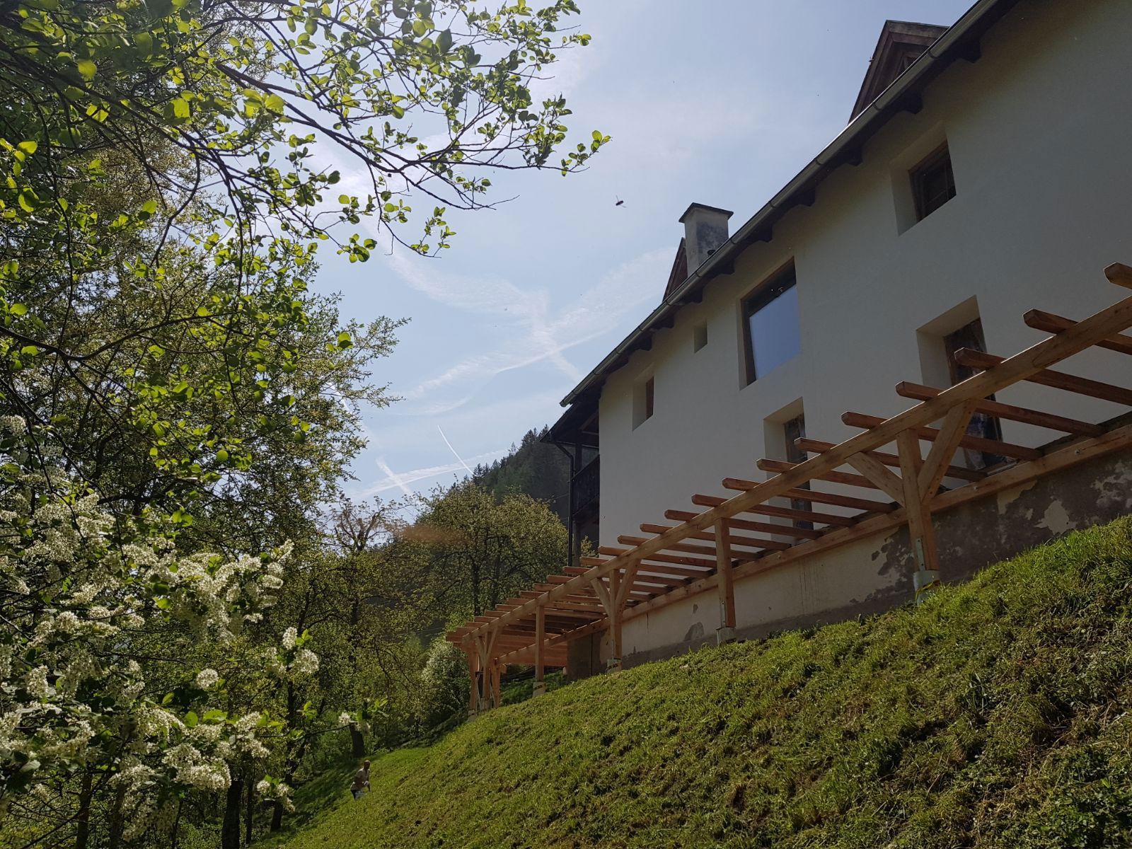 White house on a grassy slope with wooden pergola, viewed through trees under a clear blue sky
