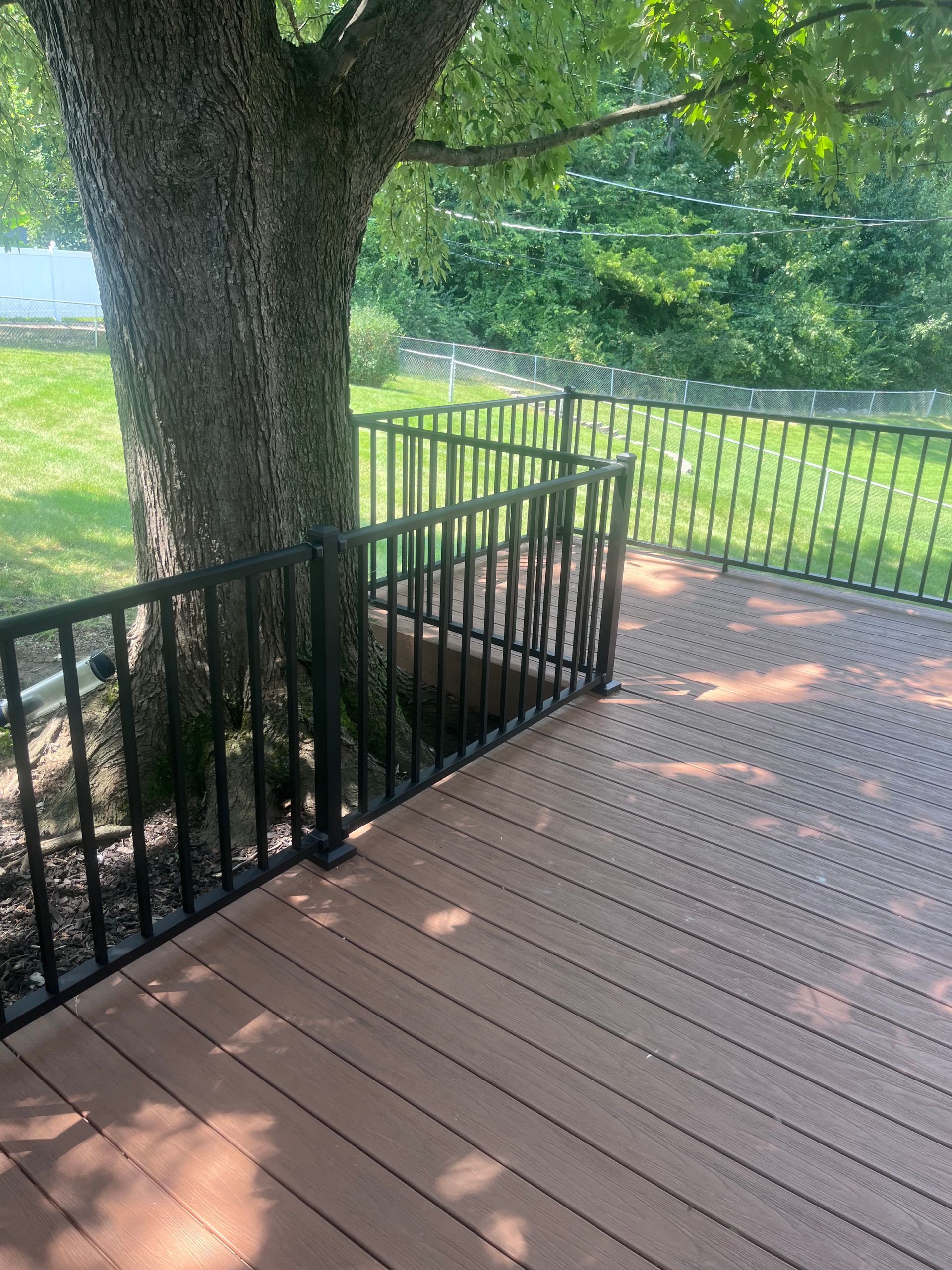 Brown composite deck with black metal railing wrapped around a tree in a yard.