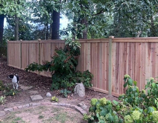Wooden privacy fence in a yard with a dog and bushes.