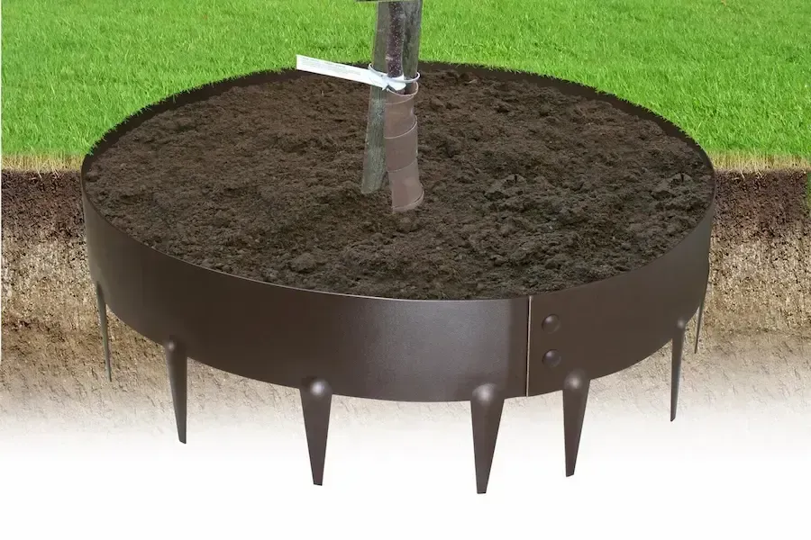 Tree planted in a circular metal watering ring filled with soil on a grassy lawn