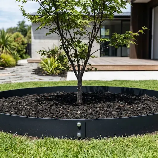 Young tree planted in a circular black raised bed in a modern front yard