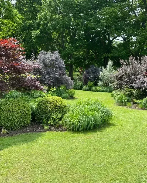 Lush garden with green lawn, trimmed shrubs, and colorful trees in summer sunlight