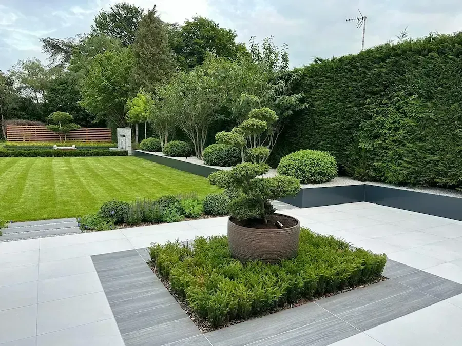 Modern landscaped garden with manicured lawn, topiary shrubs, and a paved patio area
