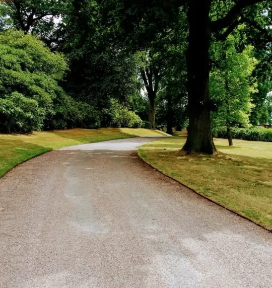 Curving paved path through a green park with trees and grass on both sides