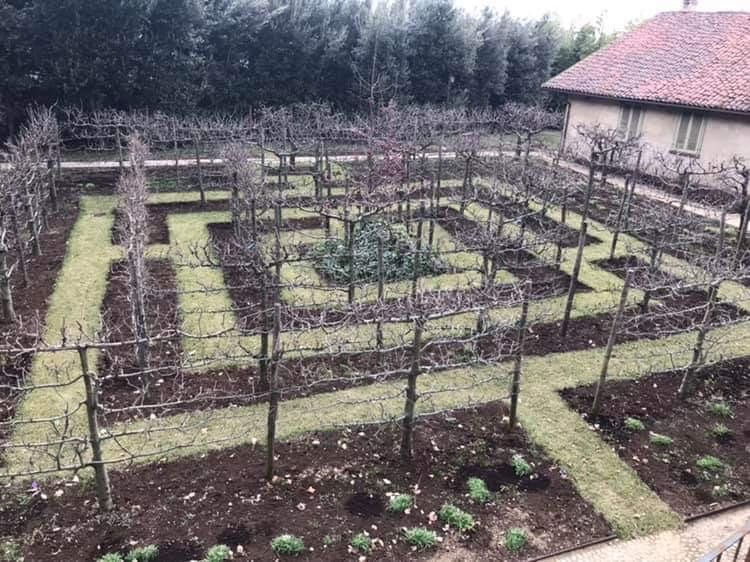 green garden