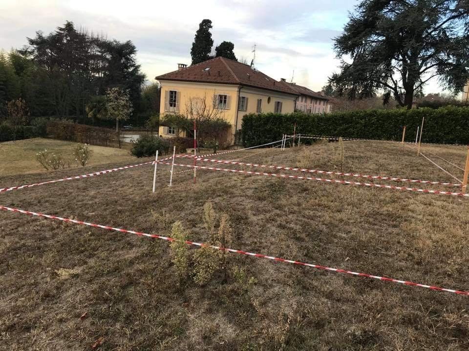 green garden