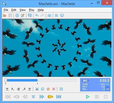 A computer screen displays the Machete Video editor Lite software interface. Below the top menu and above another set of options and buttons is an image display area that shows a flock of birds flying in concentric circles in a blue sky.