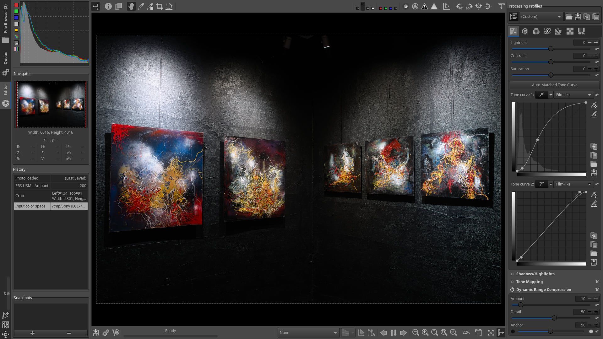 A computer screen showing the Rawtherapee software interface. The picture area, between two menus on the right and left, shows an image with a row of abstracts paintings on a concrete wall with spotlights highlighting them..