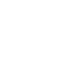 client service