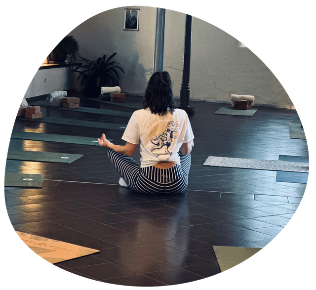 Yoga Dschungel — yoga-studio i Mannheim — 6