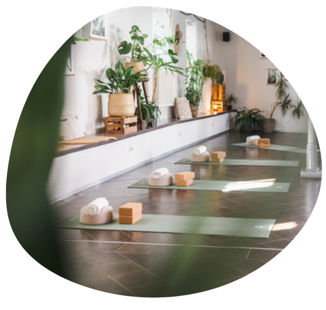 Yoga Dschungel — yoga-studio i Mannheim — 4