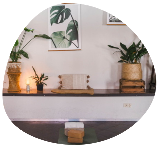 Yoga Dschungel — yoga-studio i Mannheim — 3