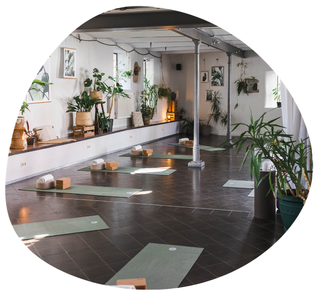 Yoga Dschungel — yoga-studio i Mannheim — 3