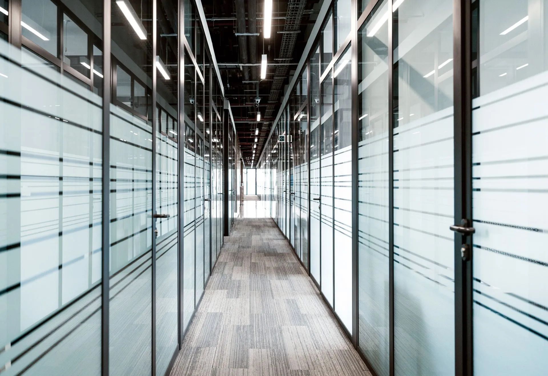 Window Tint for Office