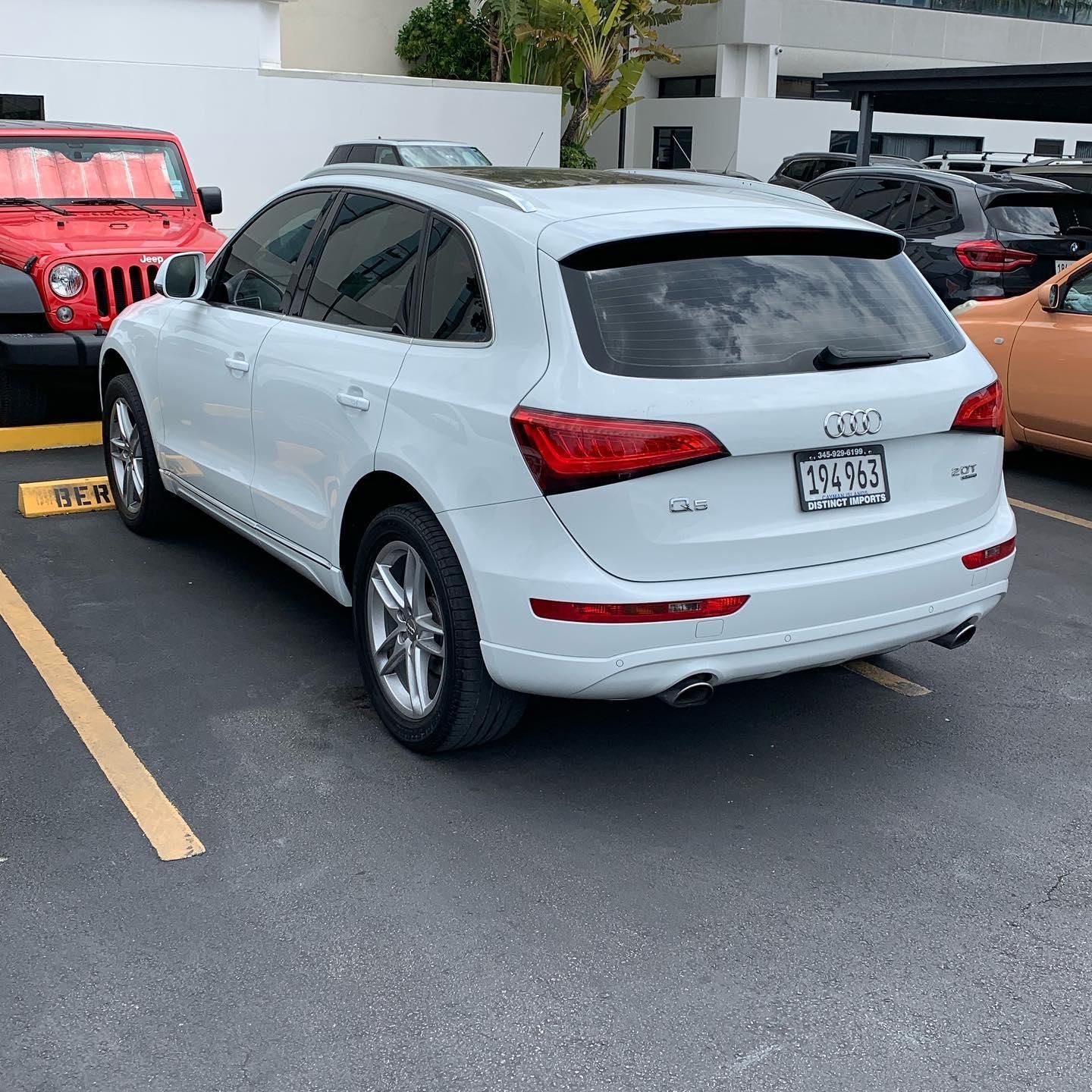 paint protection film installation