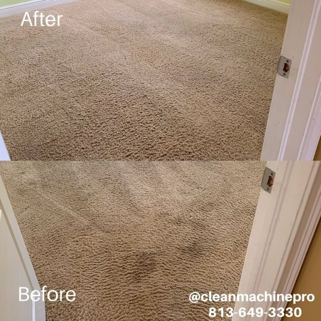 Comparison of carpet before and after cleaning. The 
