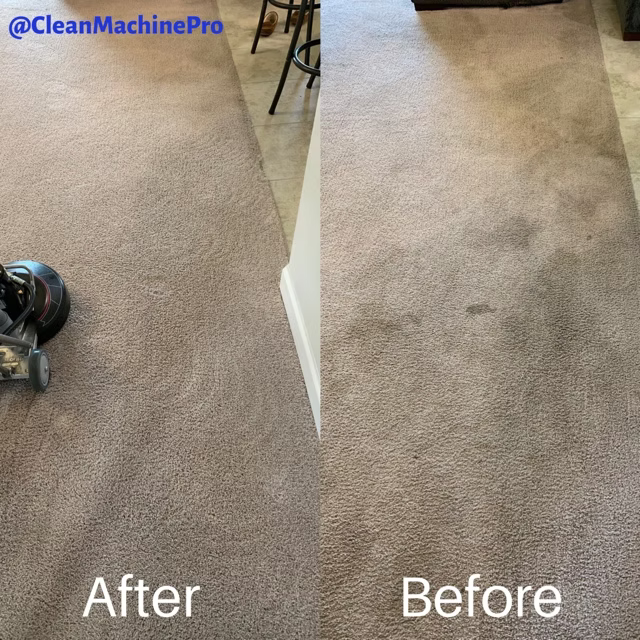 Carpet cleaning comparison: 