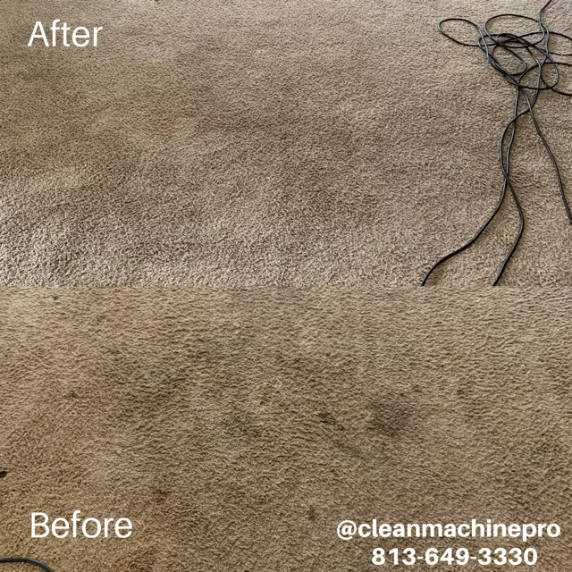 Carpet cleaning comparison: half cleaned, showing the 'after' area lighter than the 'before' area.