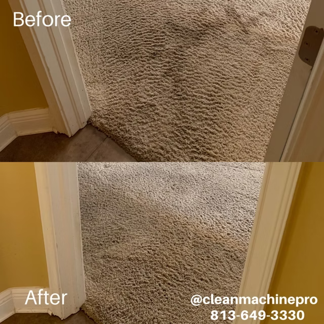 Before and after carpet cleaning; stained carpet in doorway, cleaned result visible below.