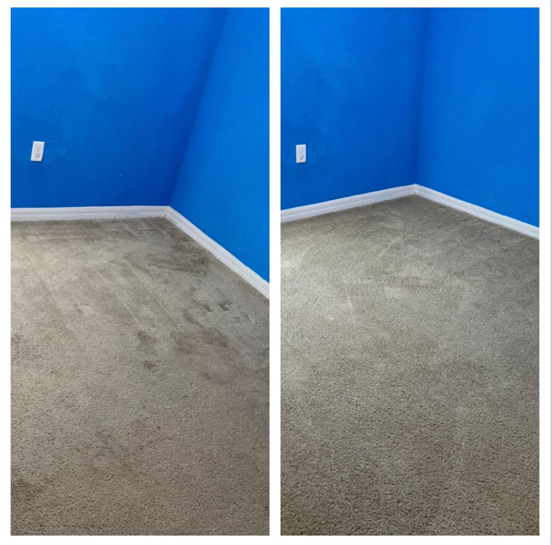Comparison of carpet cleaning: Before and after. Grey carpet in corner against blue walls, now stain-free.