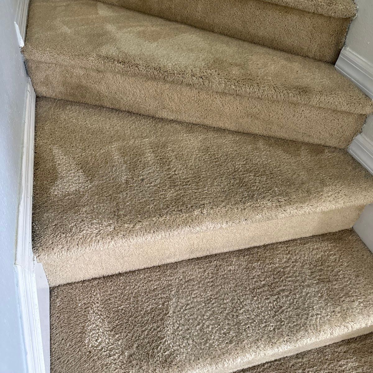 Carpeted staircase with tan steps and white trim.