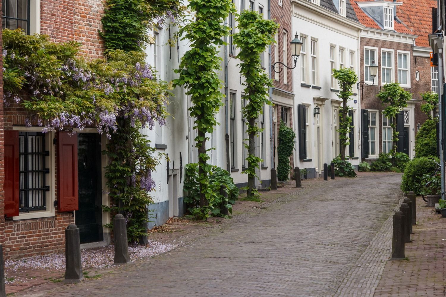 Narrow cobblestone street lined with white and red-brick houses and leafy vines in a quiet old town