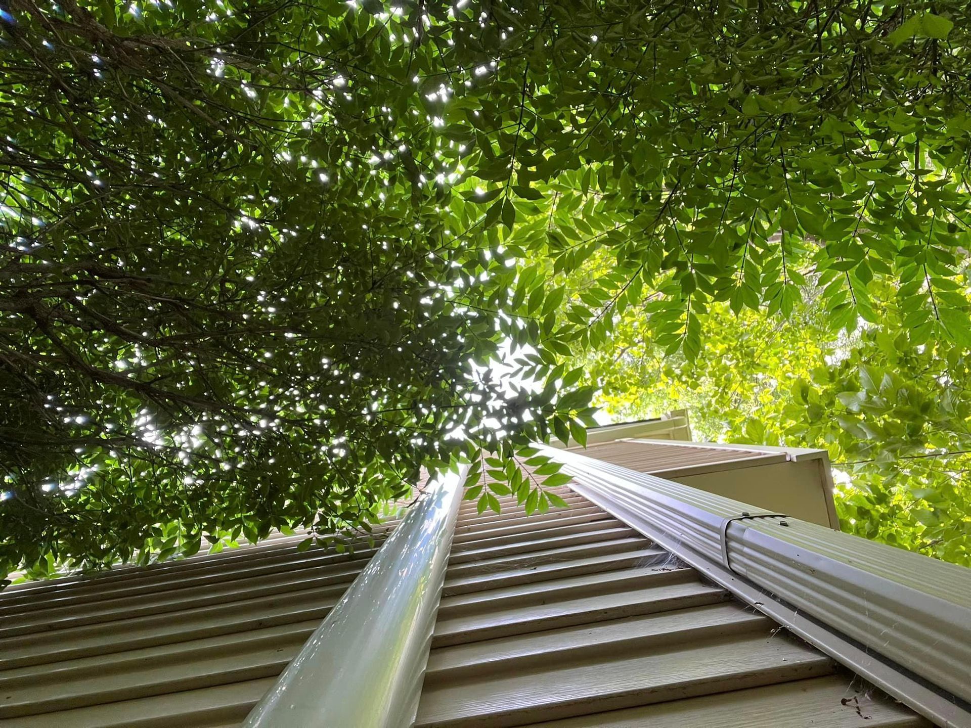 Looking up at a ladder on a roof with trees in the background.