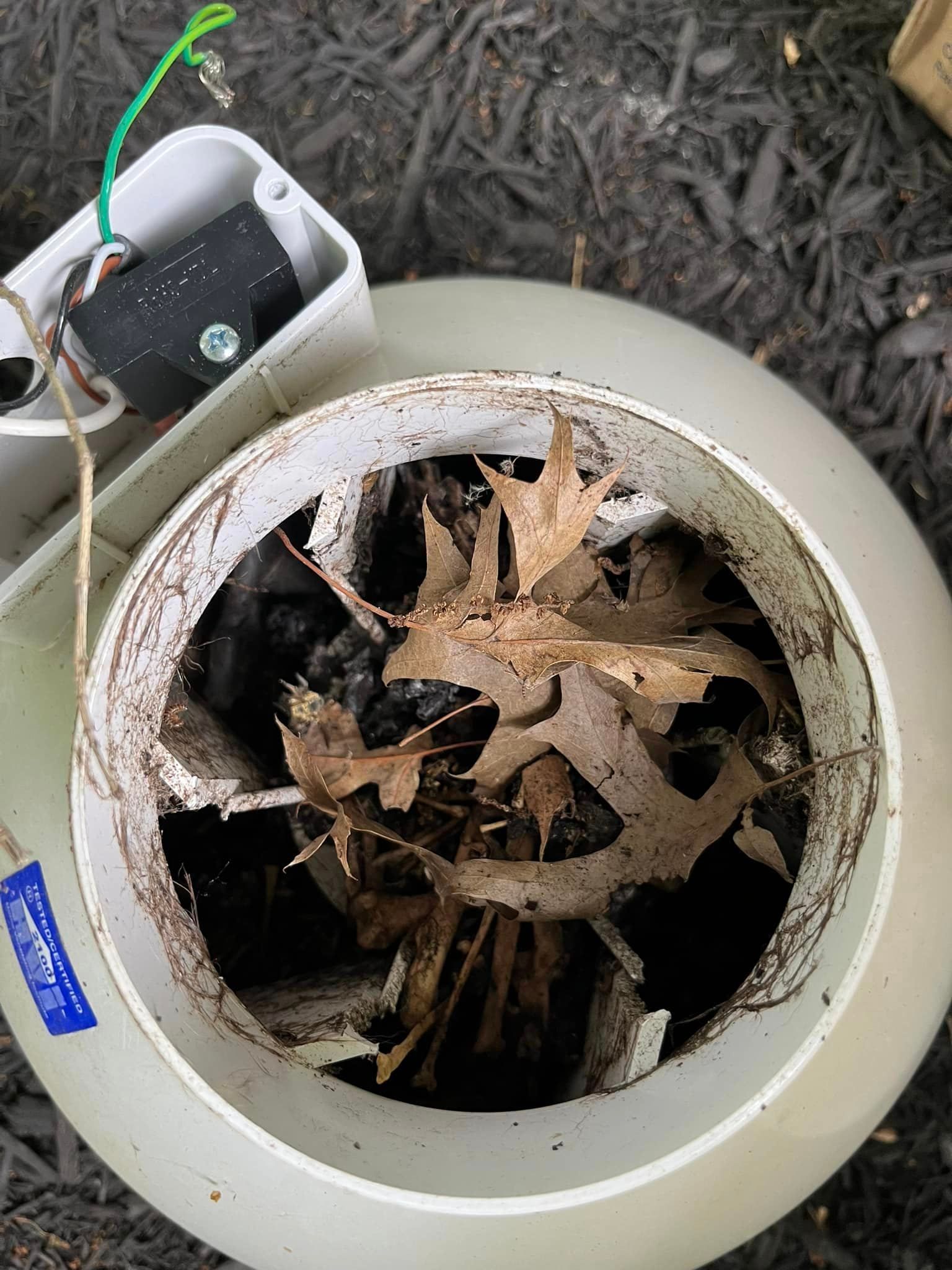A white bowl filled with leaves and dirt is sitting on the ground.