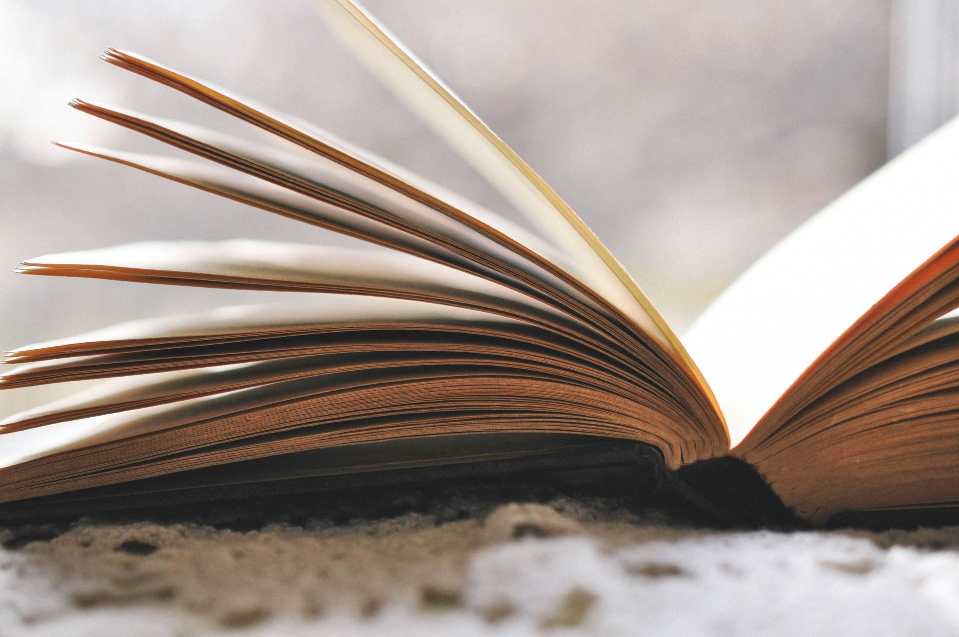 Book Club Small Group New Hope Church