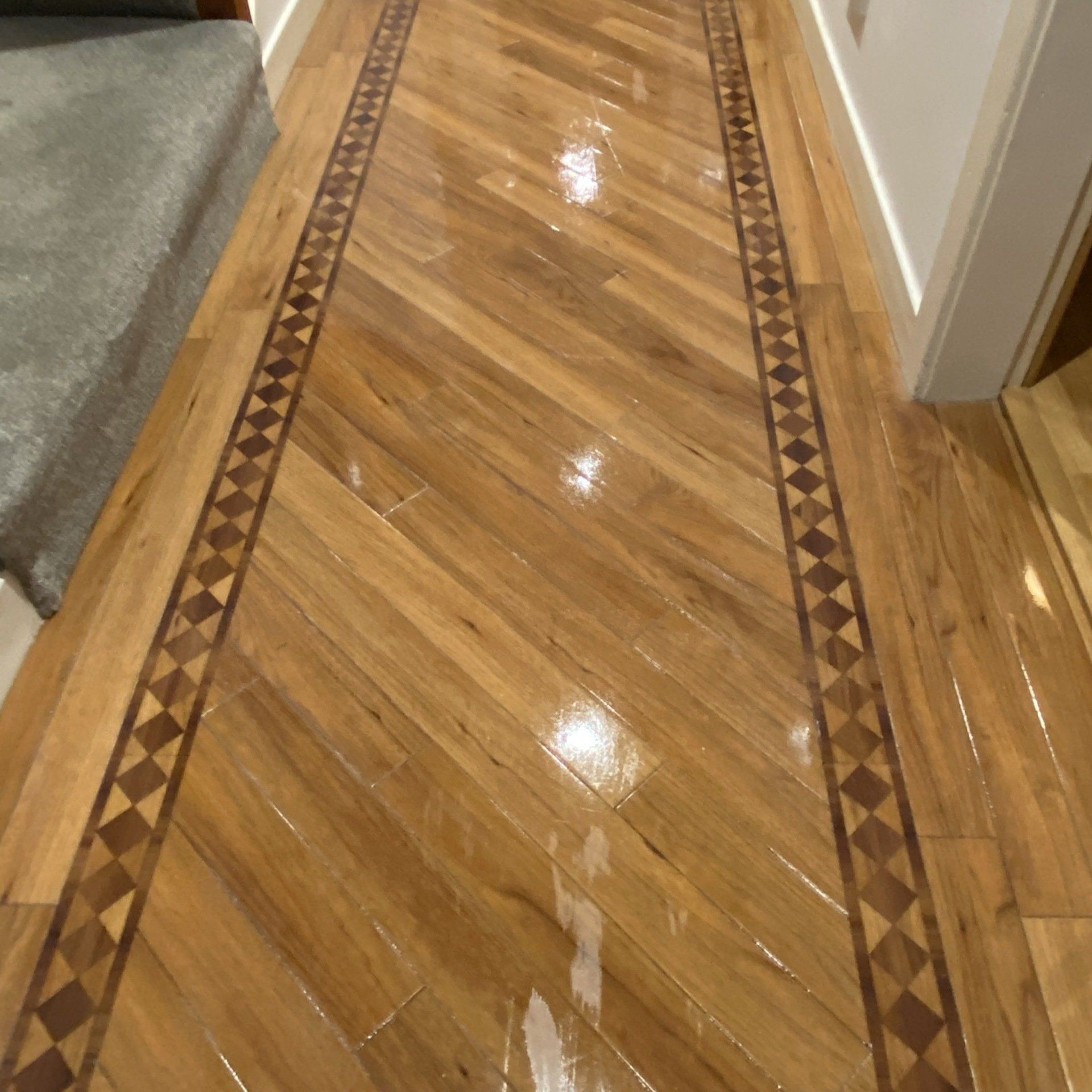 Edinburgh Carpet Cleaning