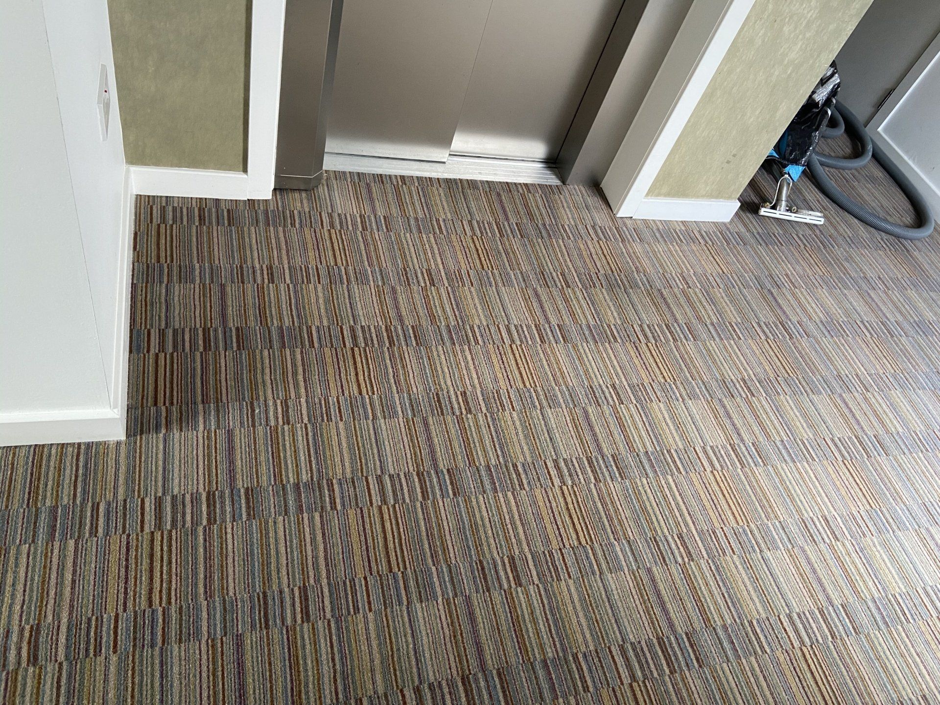 Edinburgh Carpet Cleaning