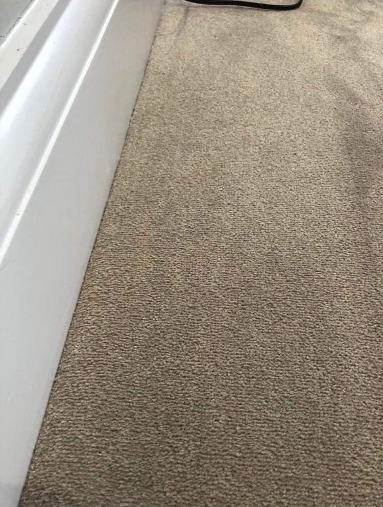 Edinburgh Carpet Cleaning