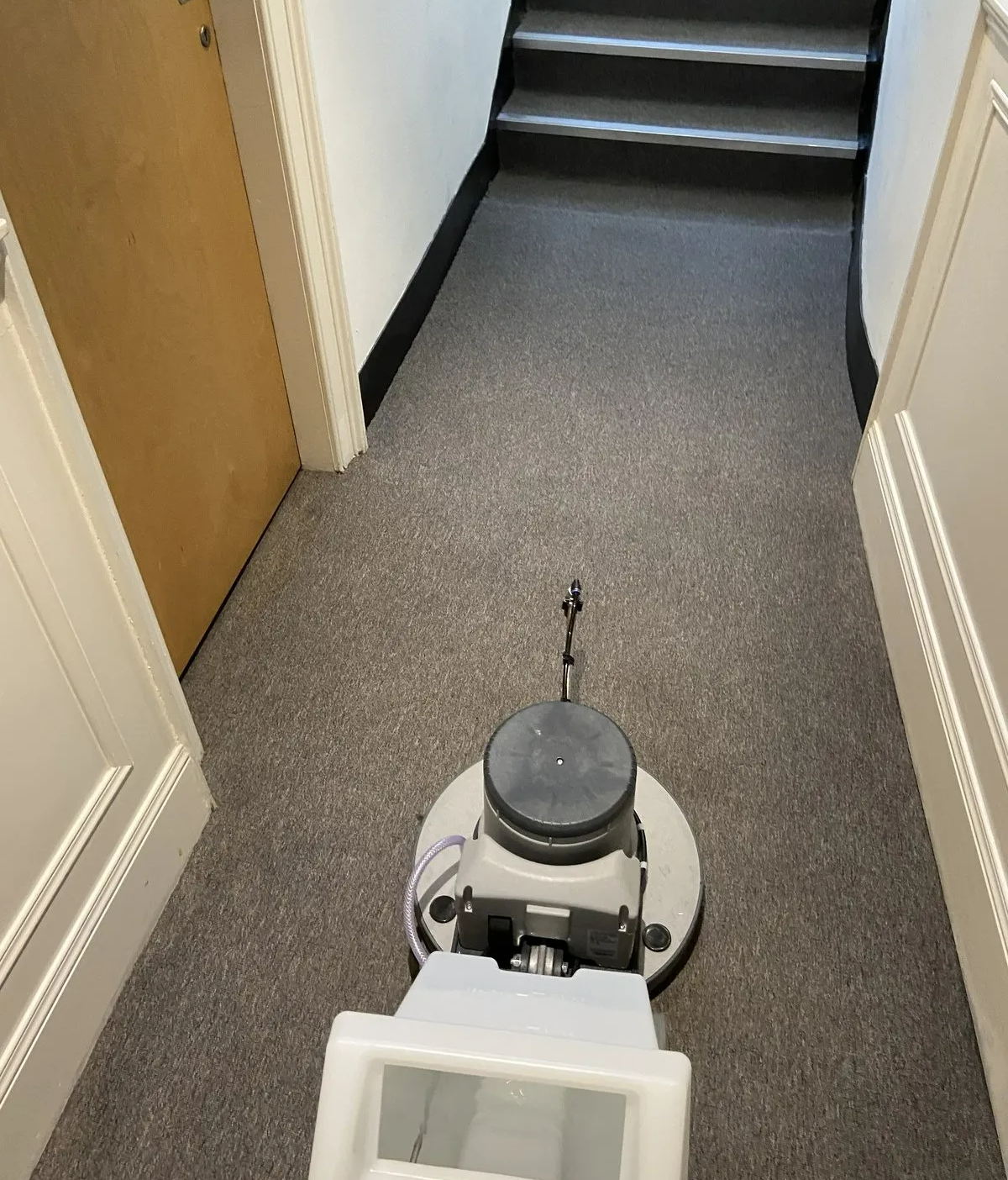 Edinburgh Carpet Cleaning